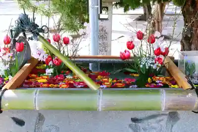 三津厳島神社の手水舎