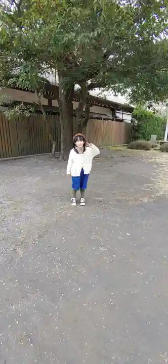 照國神社(鹿児島県)