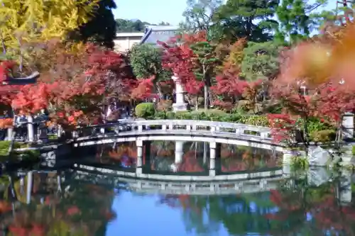 禅林寺（永観堂）の庭園