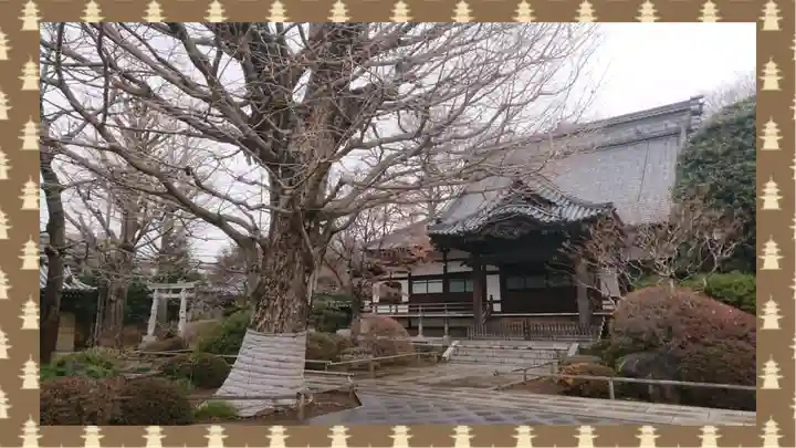 高円寺(東京都)