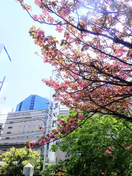 圓珠寺(東京都)