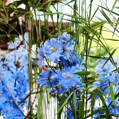 三津厳島神社の手水舎