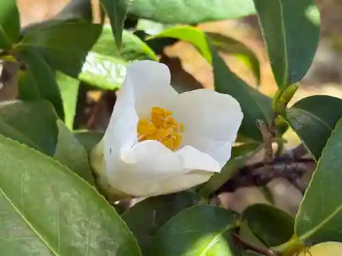 西方山極楽寺(岐阜県)