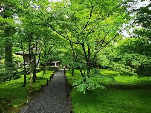 三千院門跡の庭園