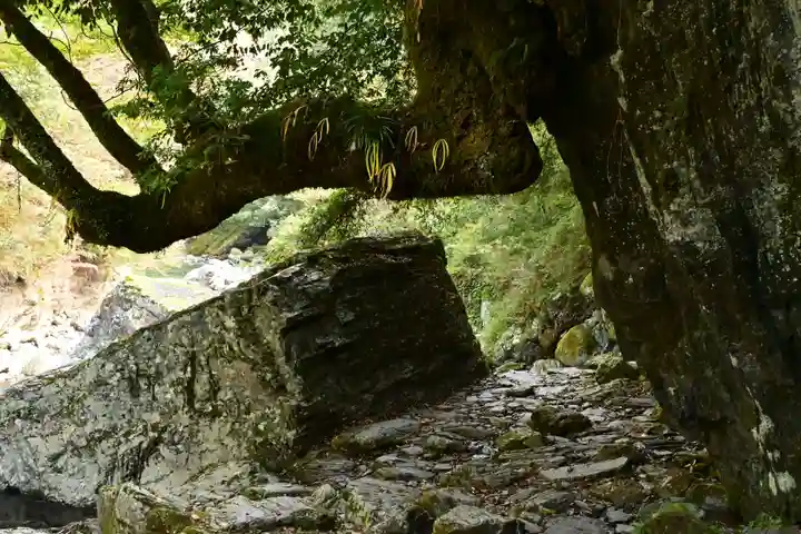 東陸様(高知県)