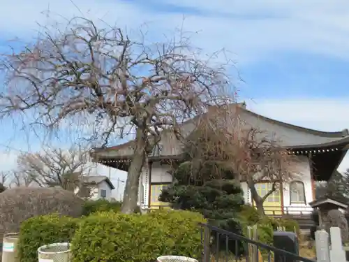 慈眼寺(東京都)