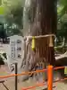 息栖神社(茨城県)