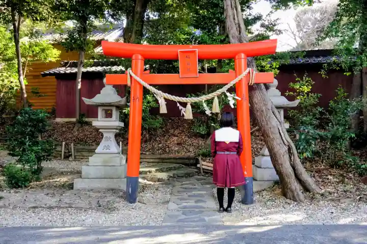 白山媛神社(上条白山媛神社)の鳥居
