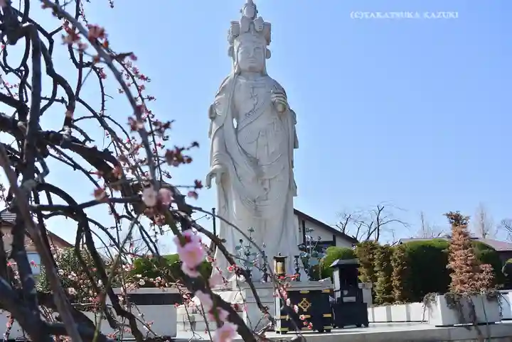 三寳寺(東京都)