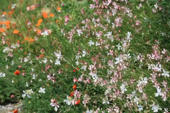 豊景神社の庭園