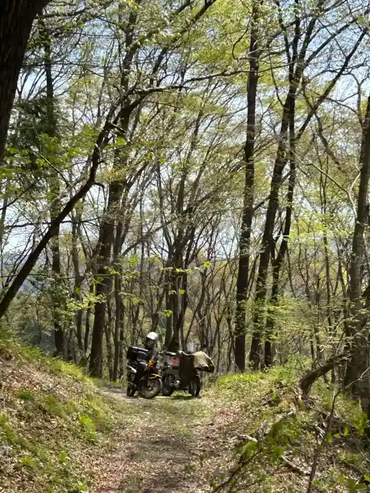 八代神明宮の{uncategorized: "未分類", other: "その他", undefined: "問題あり", building: "その他建物", grave: "お墓", sacred_gate: "鳥居", guardian: "狛犬", statue: "像", buddha: "仏像", history: "歴史", nature: "自然", garden: "庭園", animal: "動物", pagoda: "塔", temizu: "手水舎", mountain_gate: "山門・神門", sanctuary: "本殿・本堂", subordinate: "末社・摂社", art: "芸術", scenery: "景色", jizo: "地蔵", ema: "絵馬", goshuin: "御朱印", omikuji: "おみくじ", items: "授与品その他", amulet: "お守り", goshuincho: "御朱印帳", eats: "食事", festival: "お祭り", votive_dance: "神楽", shichigosan: "七五三参", wedding: "結婚式", experience: "体験その他", initially: "初詣", around: "周辺", anti_infection: "感染症対策"}