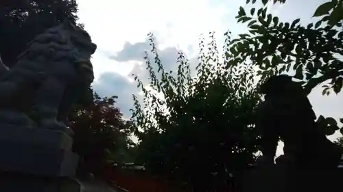 稗田野神社(薭田野神社)(京都府)