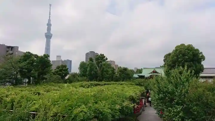 亀戸天神社の庭園