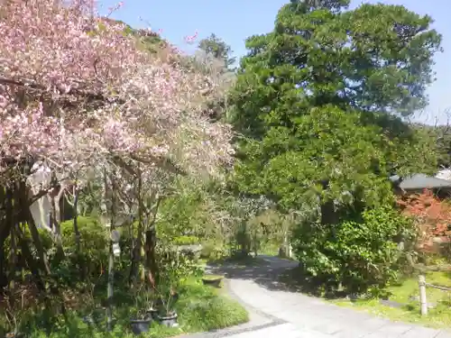 光則寺の庭園