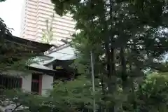 越谷香取神社の本殿