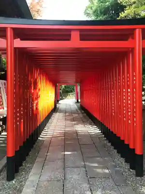 三光稲荷神社の鳥居