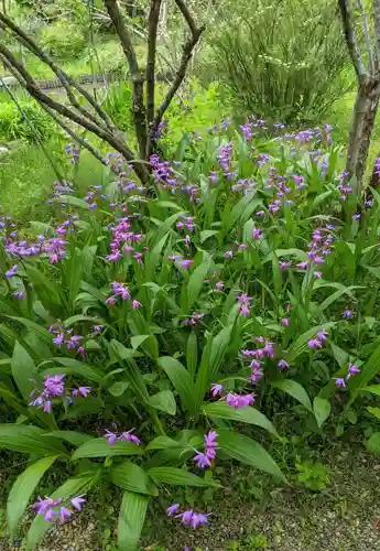 法華寺(奈良県)