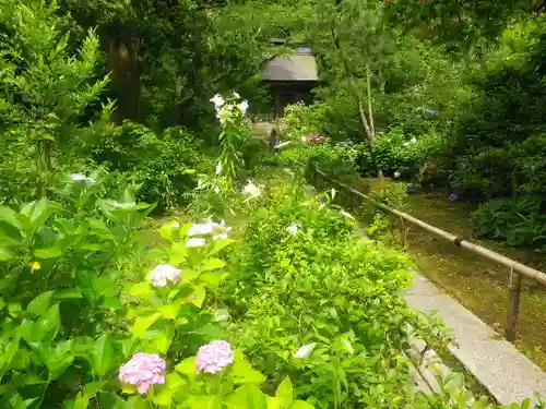 妙法寺の庭園