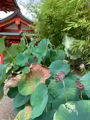 生田神社の自然