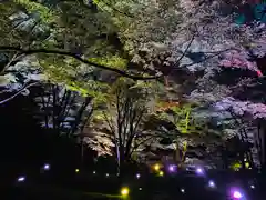 土津神社｜こどもと出世の神さまの自然