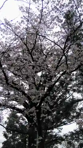 愛宕神社の自然