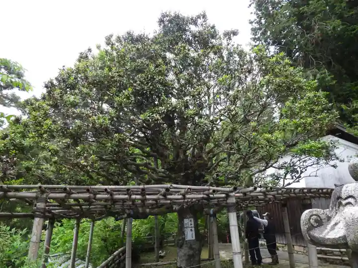 宝厳寺(滋賀県)