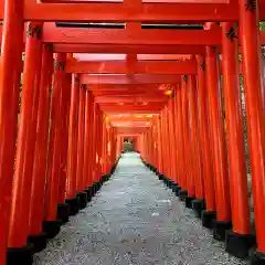 二川伏見稲荷の鳥居