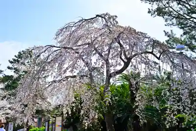 日枝神社(静岡県)