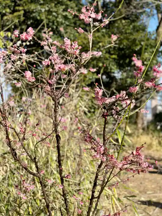 意賀美神社(大阪府)