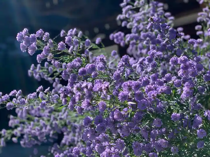 諏訪大社の自然
