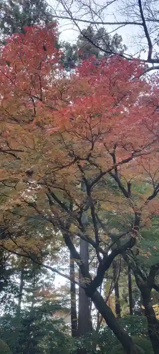 龍潭寺(静岡県)