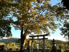 白鳥神社(長野県)