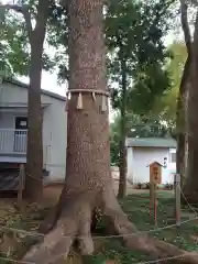 金ヶ作熊野神社の建物その他