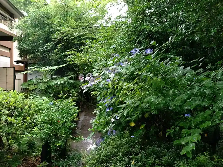 阿佐ヶ谷神明宮(東京都)