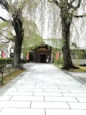 身照寺の本殿・本堂