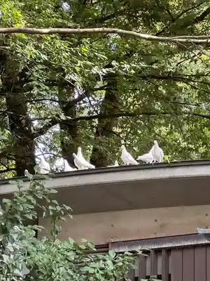 靖國神社(東京都)