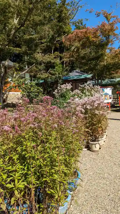 大原野神社(京都府)