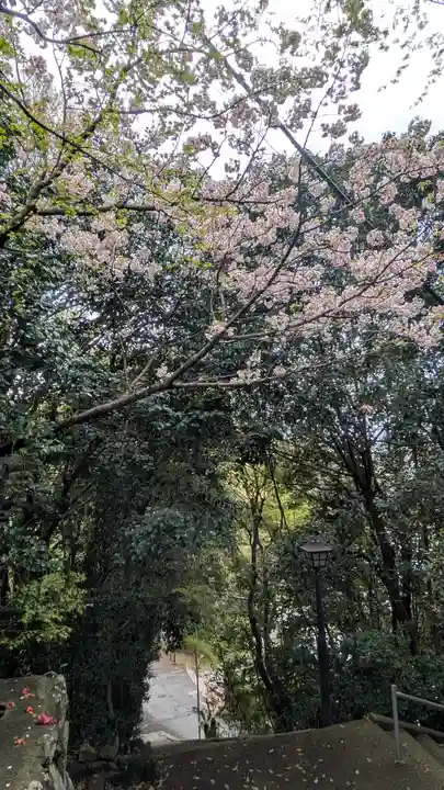 大念寺(京都府)
