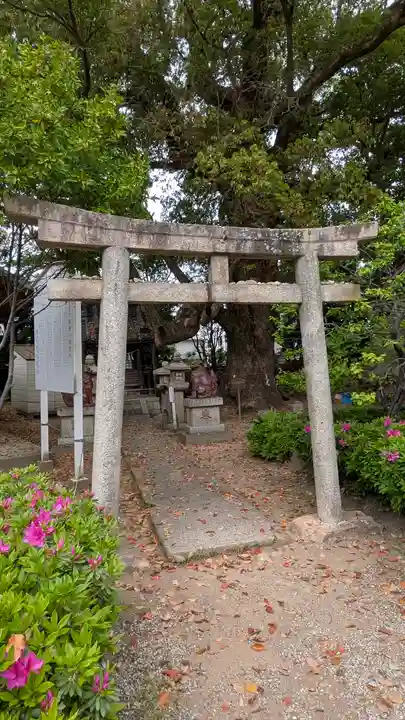 道明寺天満宮(大阪府)