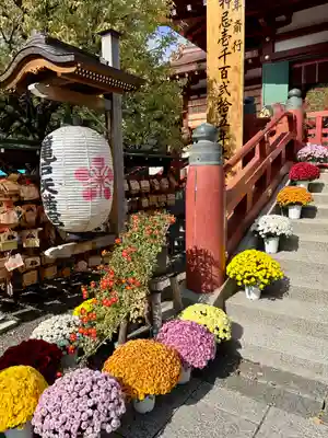 亀戸天神社(東京都)