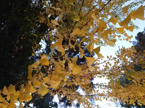 速谷神社(広島県)