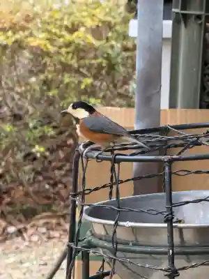 公時神社(神奈川県)