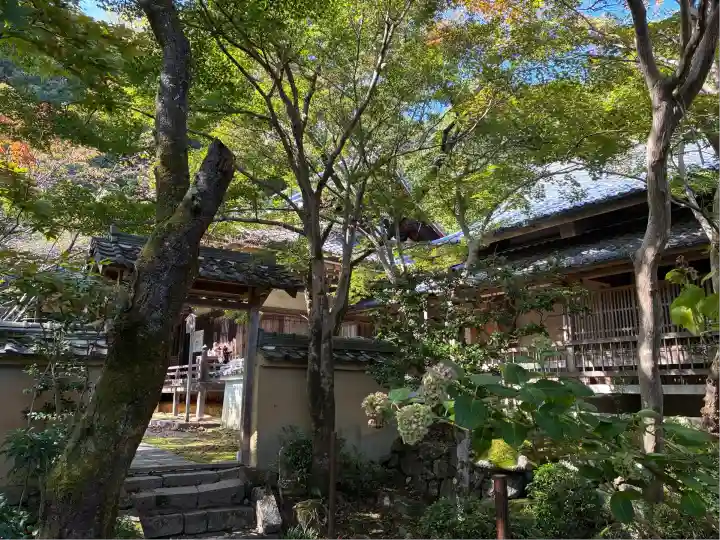 勝持寺(花の寺)(京都府)