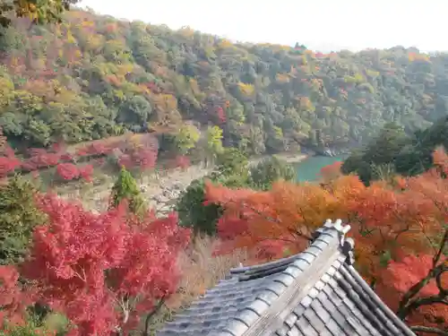 大悲閣千光寺(京都府)