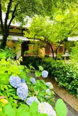 梨木神社(京都府)