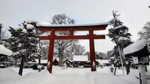 北海道護國神社の鳥居