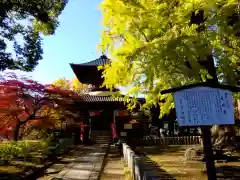 鑁阿寺の建物その他