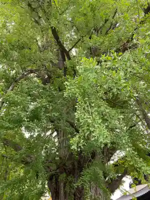 鑁阿寺(栃木県)