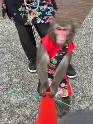 笠間稲荷神社(茨城県)