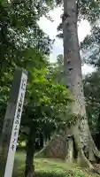 玉太岡神社(埼玉県)